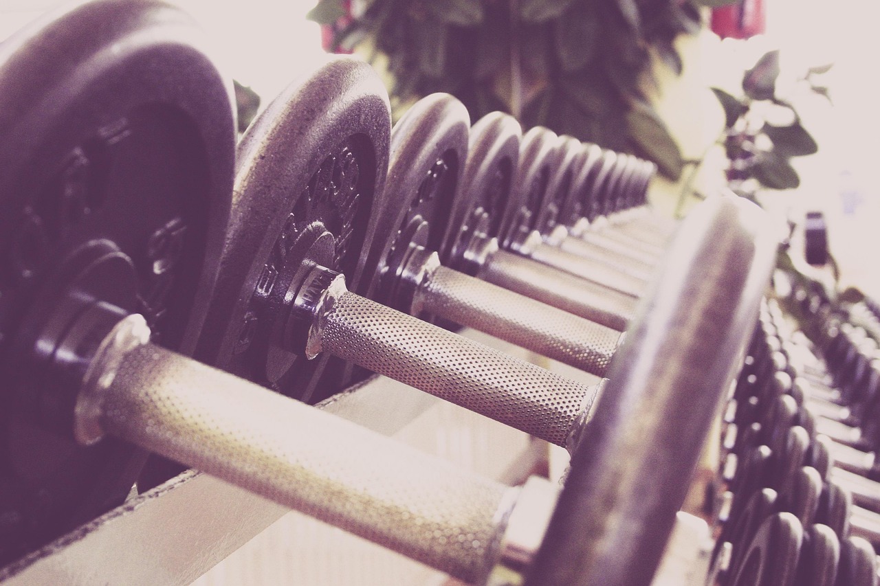 Walrusgym Fitness Club collection